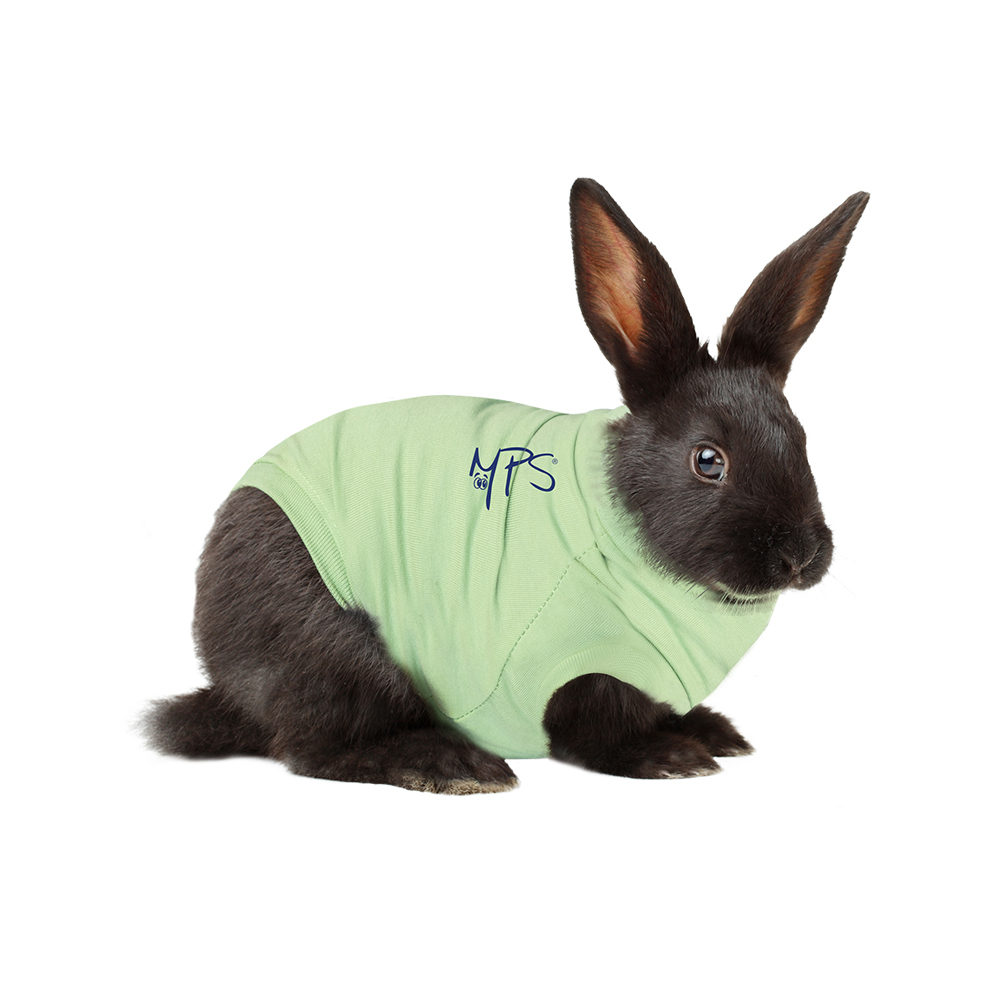 Rabbit pet shirt